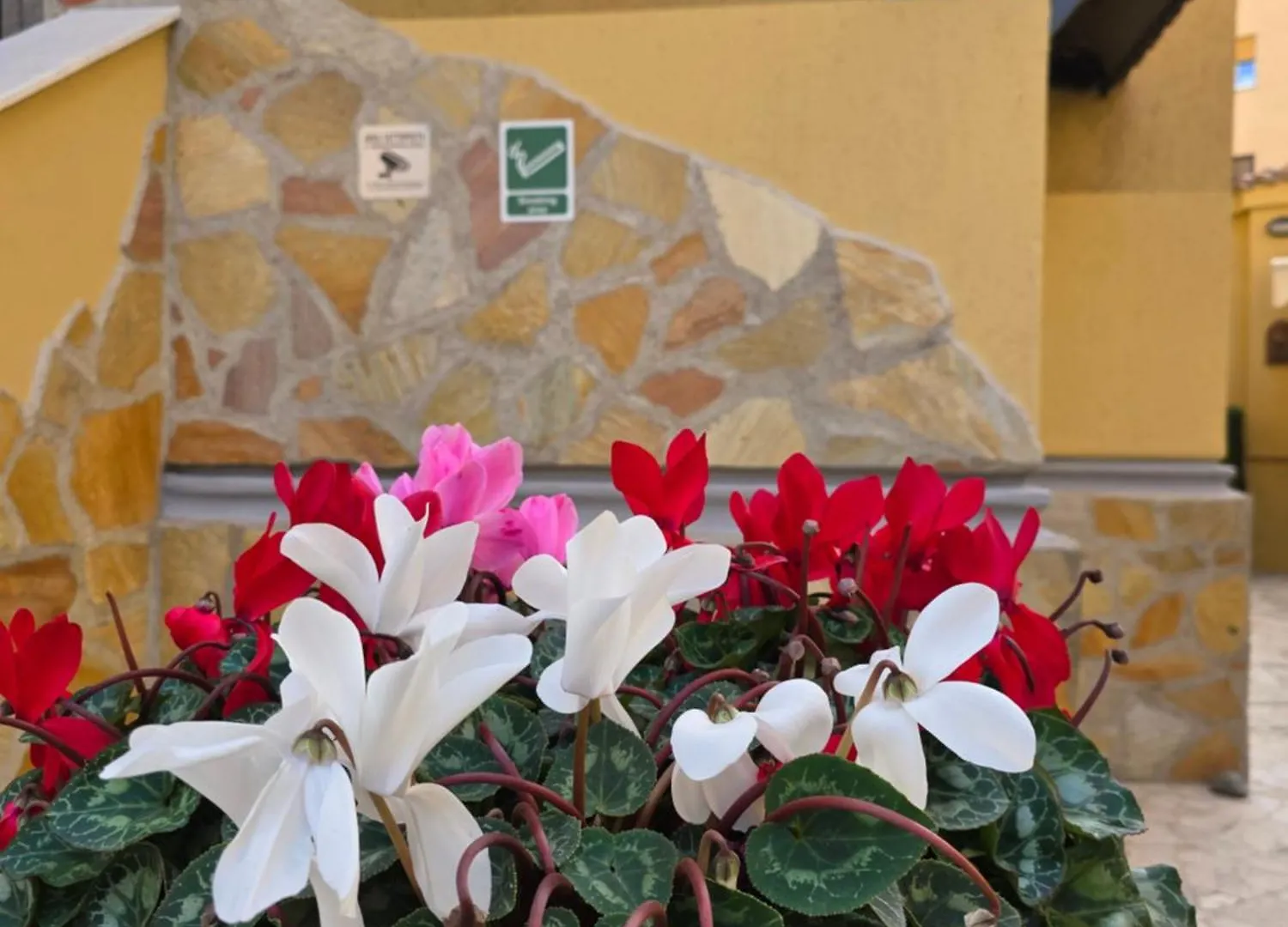 Guesthouse Aurora A.E. Rome